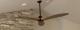 Aviator Ceiling Fan