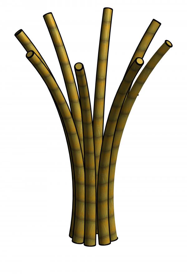 Bamboo column