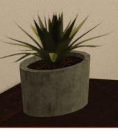 Chimso's plant reduced to one fully parametric option