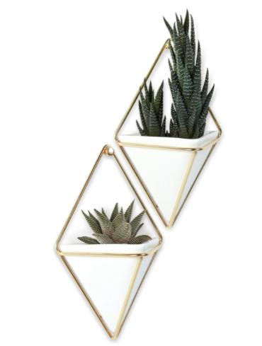 UMBRA FRIGG PLANTER - AMAZON