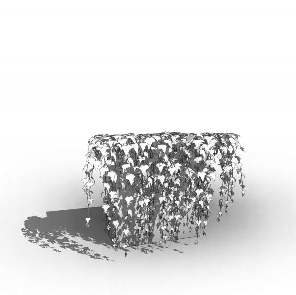 Scalable Hangin Plant