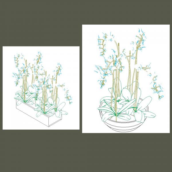 Flowerstulips_01 & 02