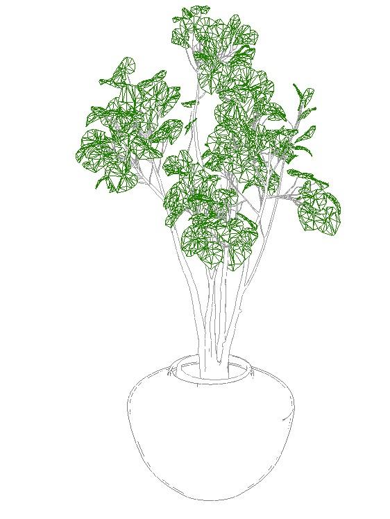 interior flower plants.02