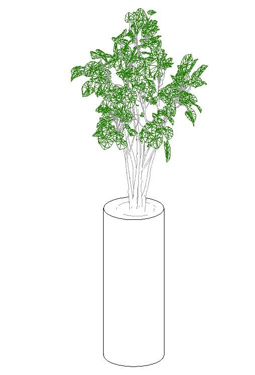 interior flower plants.03