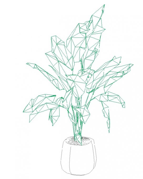 interior flower plants.04