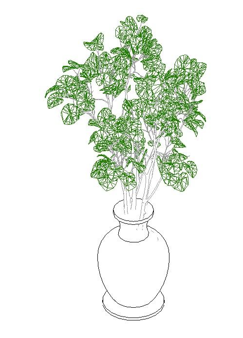 interior flower plants.06