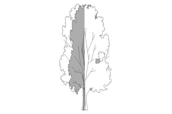 Jonathan Furlong's 3D/2D Tree