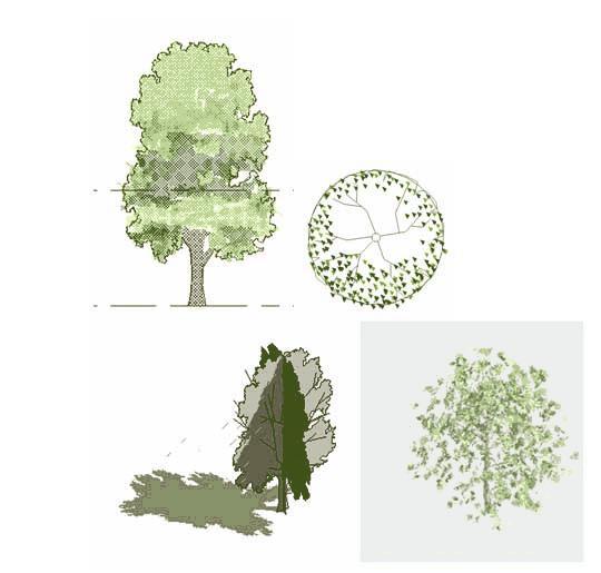 Jonathan Furlongs 2D 3D tree