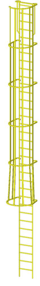Caged Ladder 24L