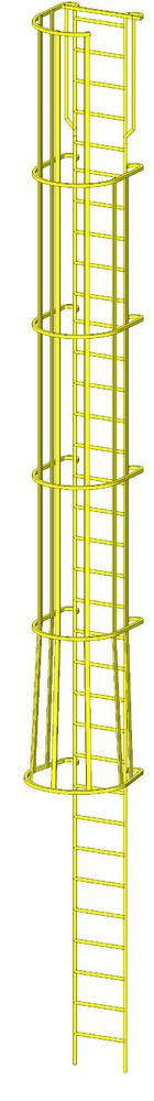 Caged ladder 24r