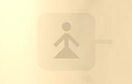 Toilet Sign 2 - ladies toilet