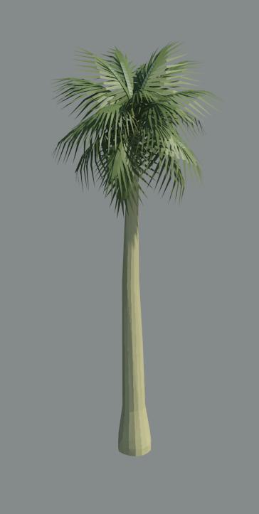 3d palm tree a_palm5