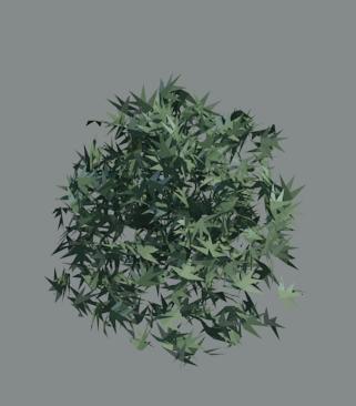 3d shrub a_bush12