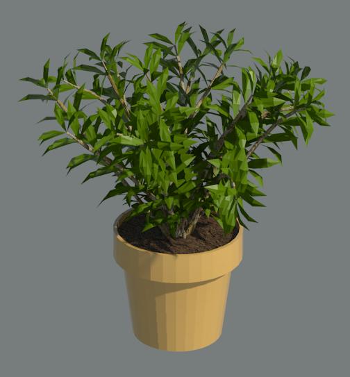 3D Plant