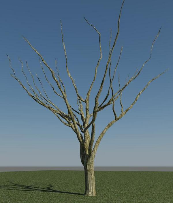 3D Dry Tree