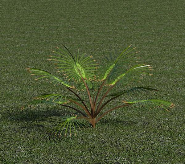 3D Plant