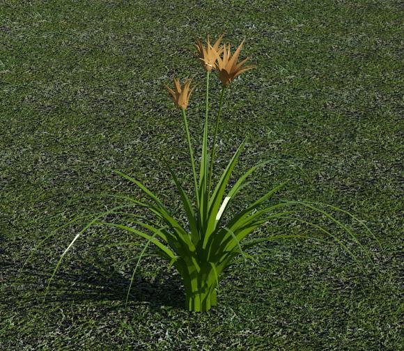 3D Flower - Lilly 1