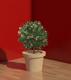 Potted_Plant_3D_