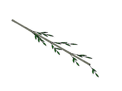 bamboo branch